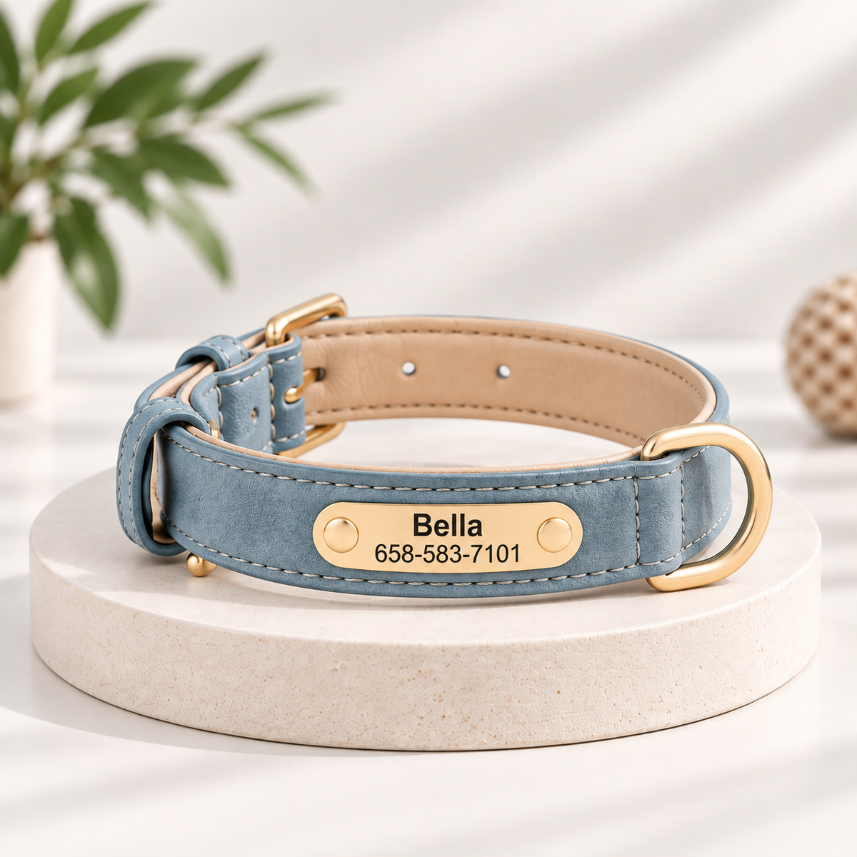 Collier personnalisé doré pour chien