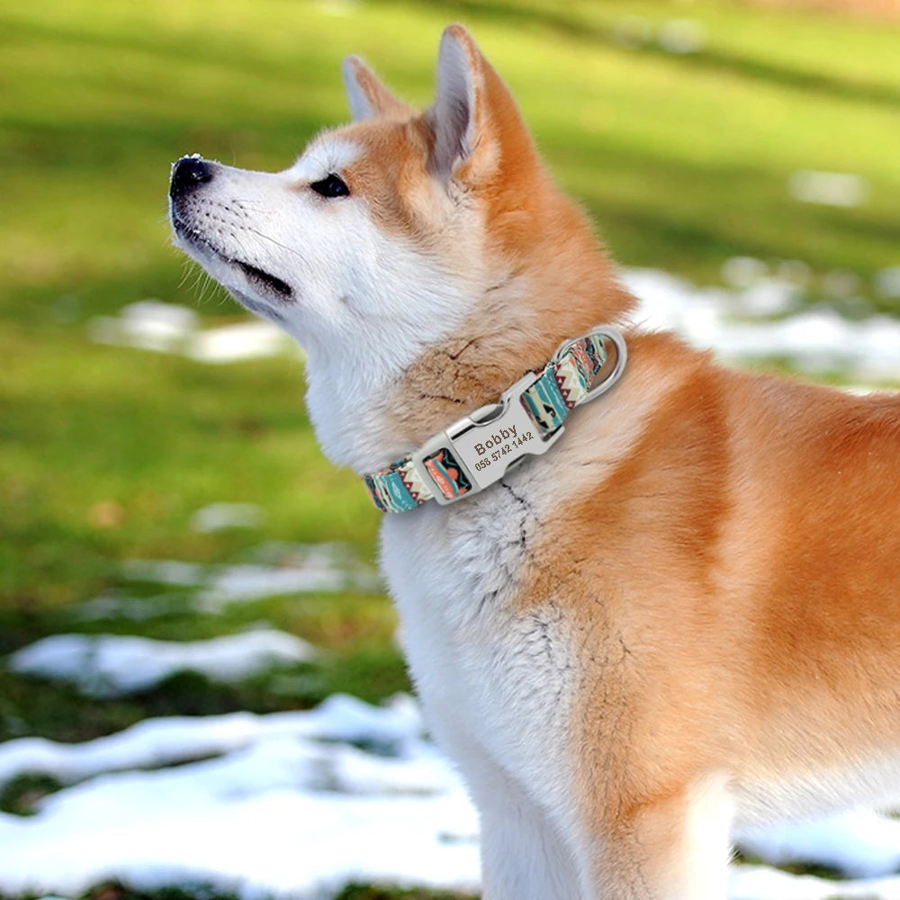 Collier d'identification personnalisé pour chien – gravure gratuite