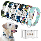 Collier d'identification personnalisé pour chien – gravure gratuite
