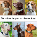 Collier d'identification personnalisé pour chien – gravure gratuite