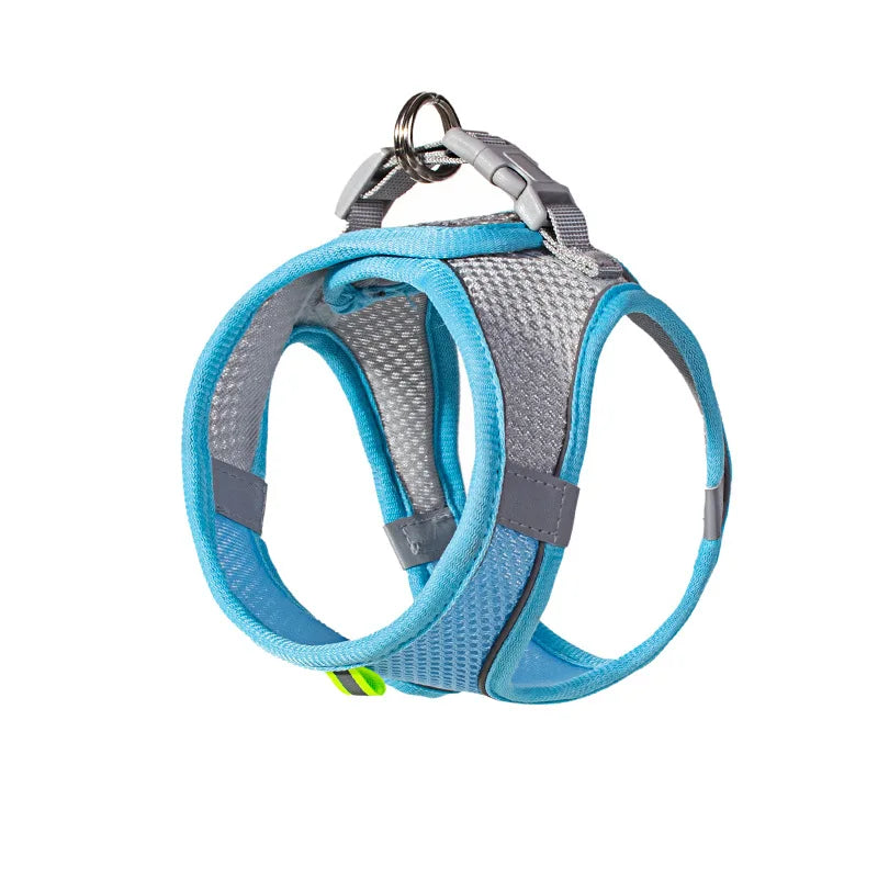 Ensemble harnais pour chiot et petit chien
