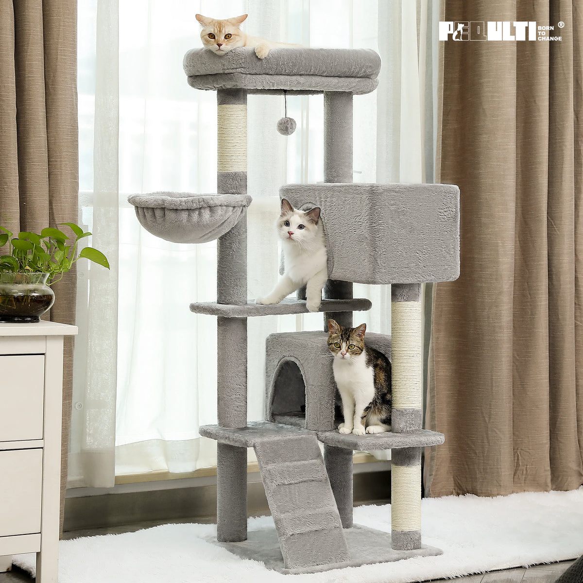 Arbre à chat avec griffoir complet