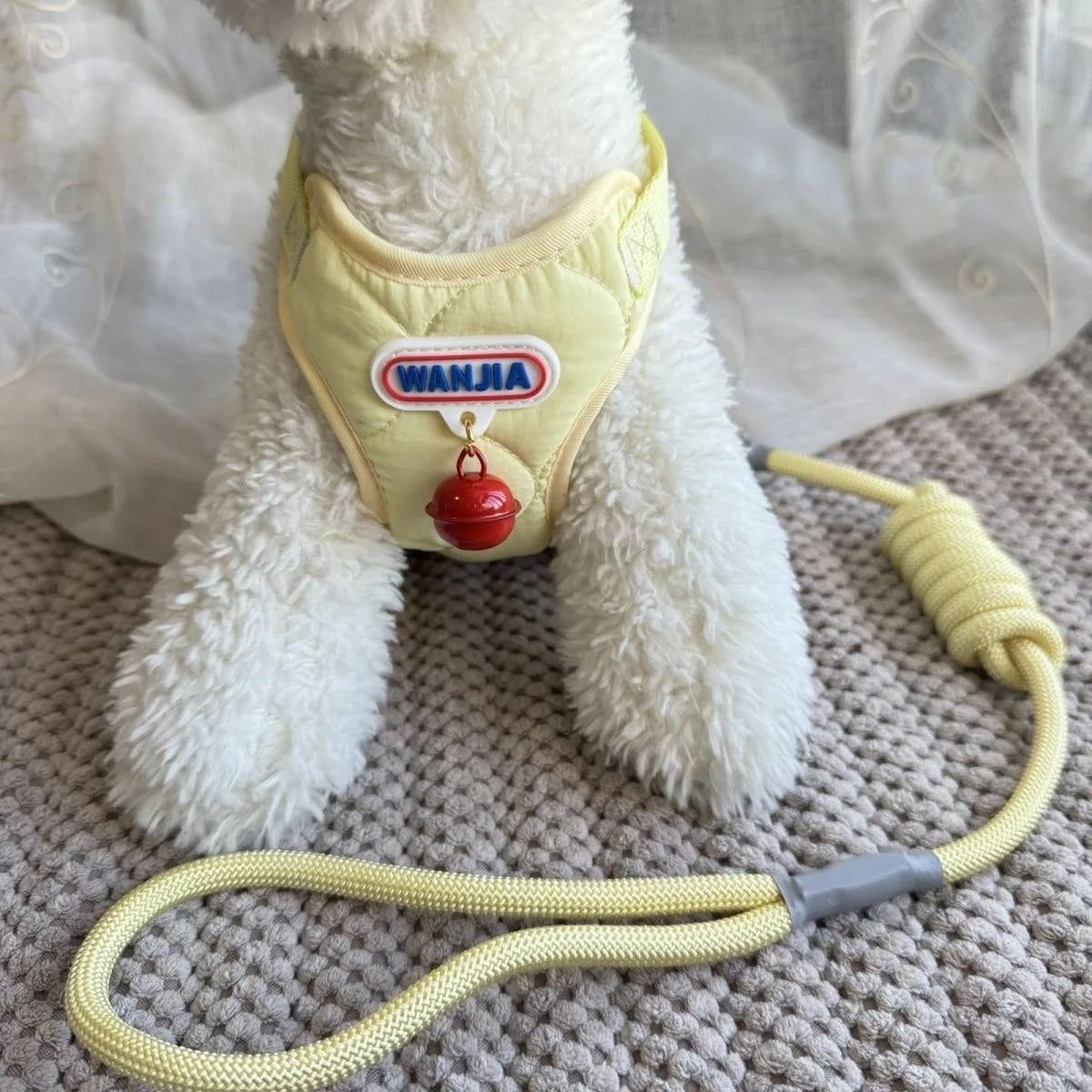 Harnais et laisse pour petits animaux – chiens, chats et lapins