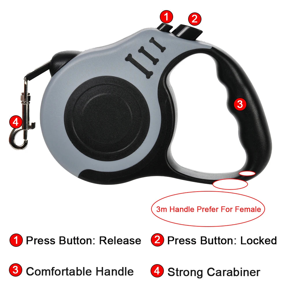 Laisse rétractable automatique pour chien
