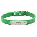 Collier personnalisé pour chien – prénom gravé anti-fugue