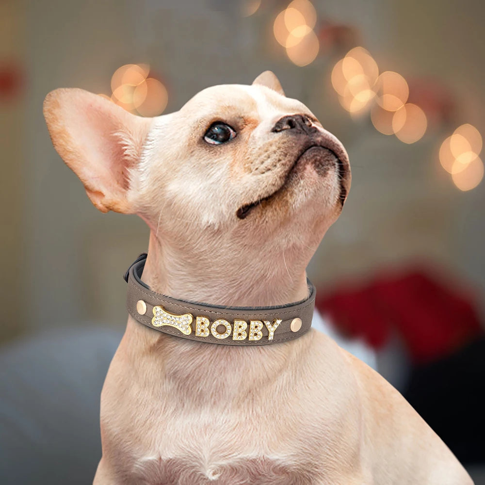 Collier en cuir personnalisé pour chien