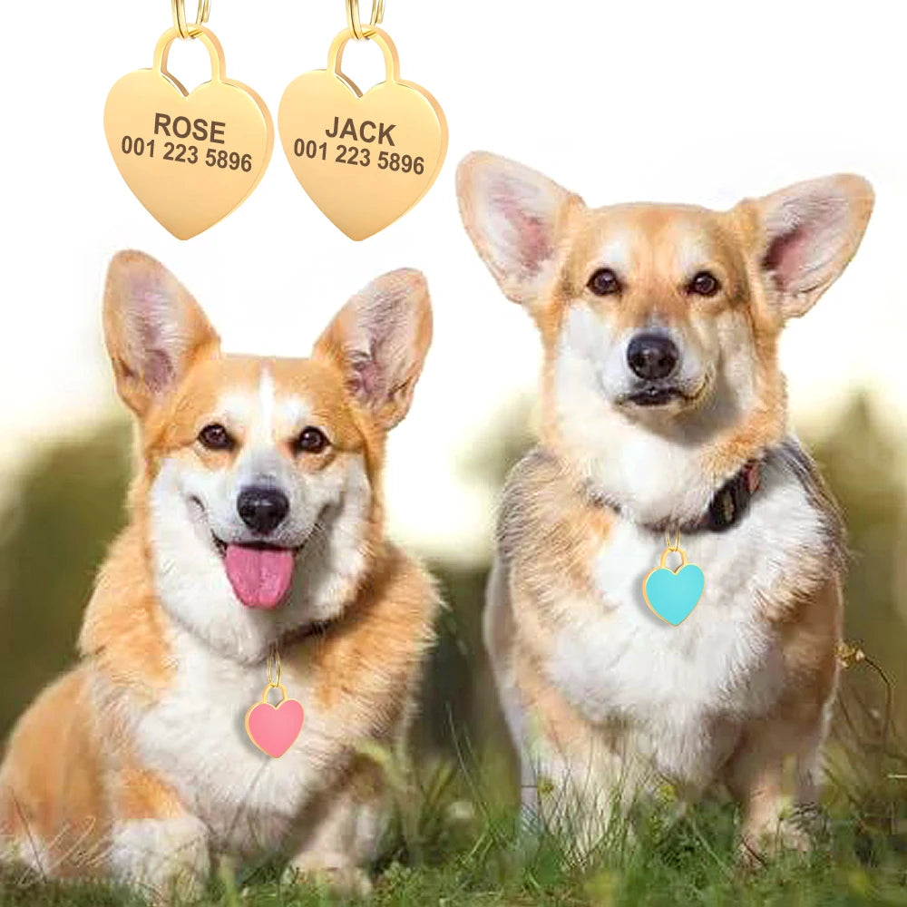 Médaille strass personnalisée pour chien et chat
