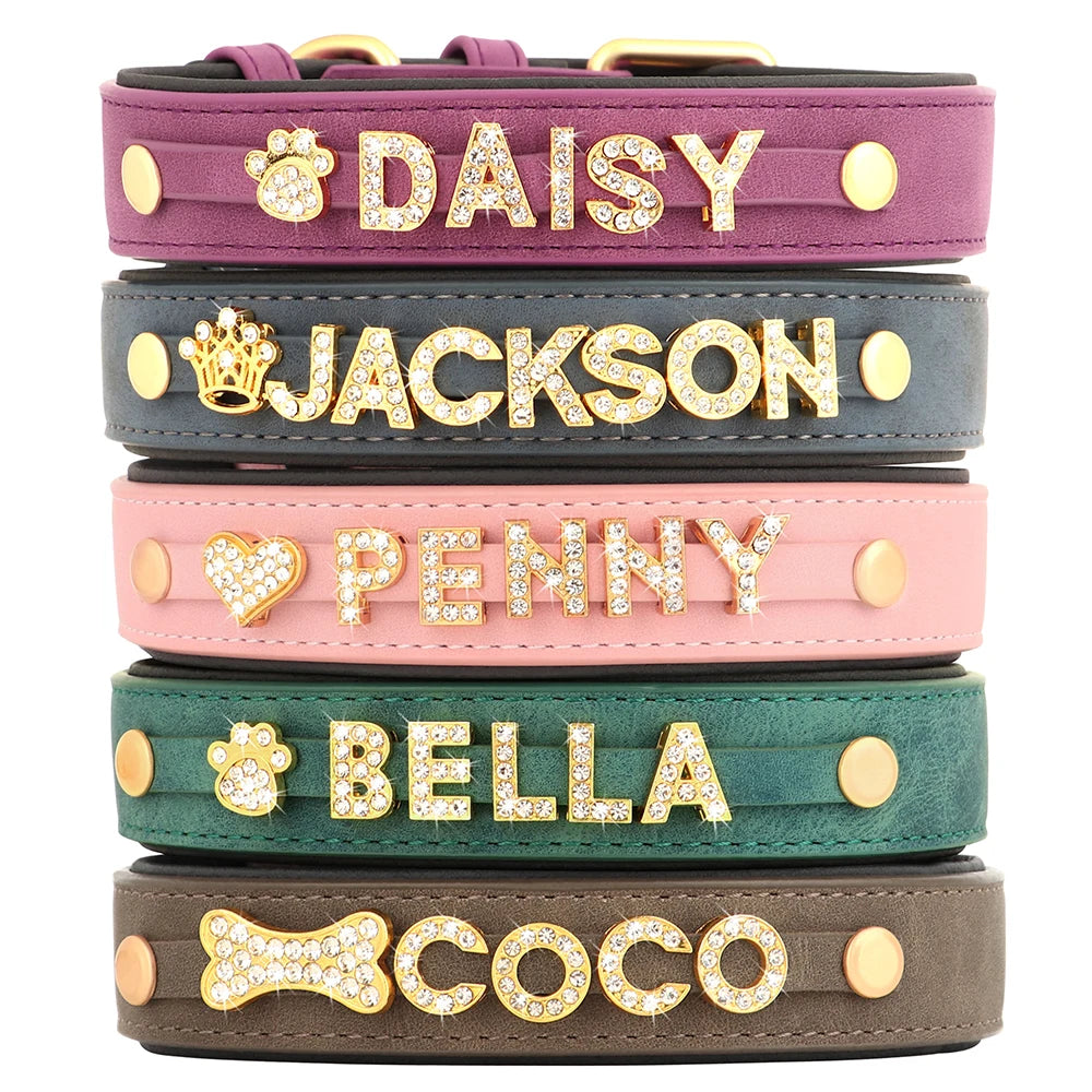 Collier en cuir personnalisé pour chien