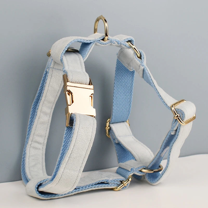 Ensemble collier et laisse en velours bleu clair