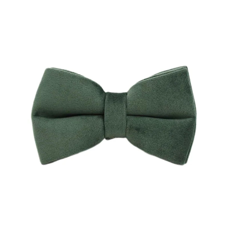 Ensemble collier, harnais et laisse en velours