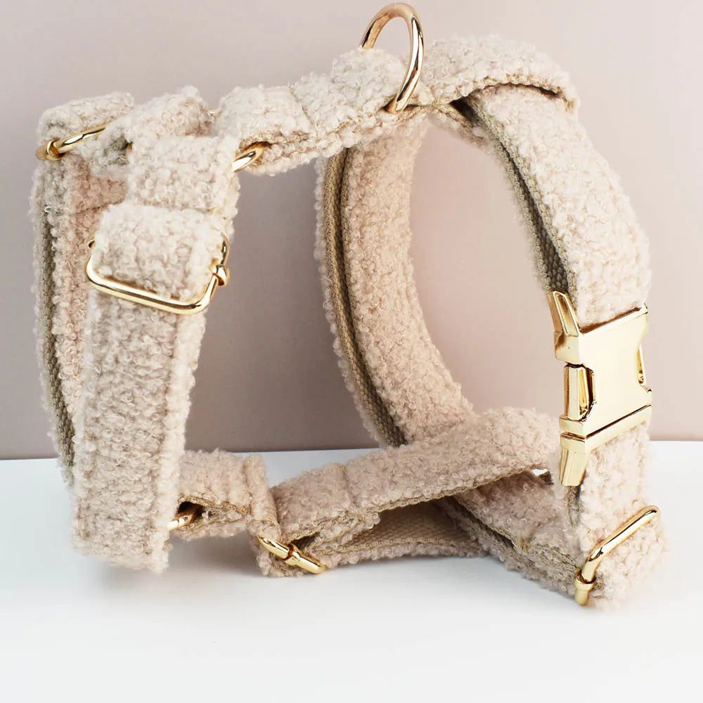 Ensemble collier et laisse en velours Teddy