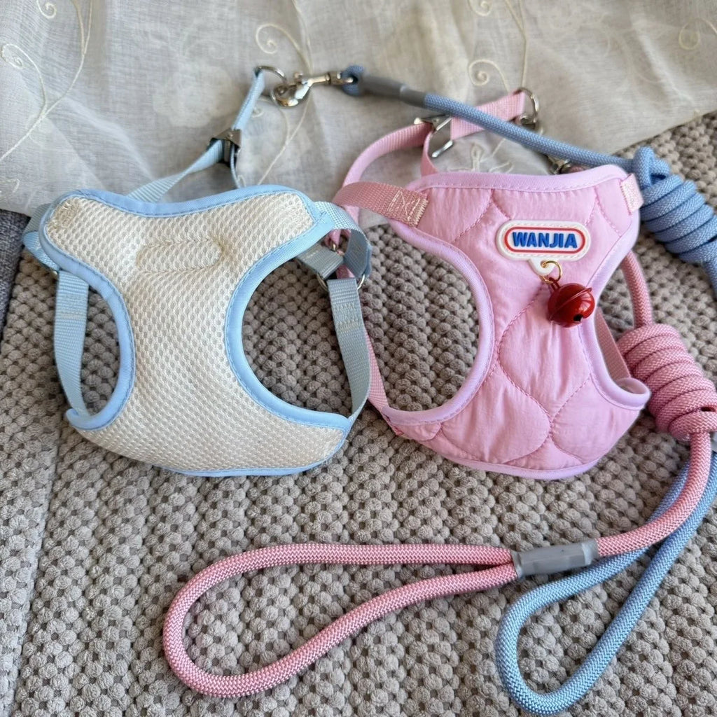 Harnais et laisse pour petits animaux – chiens, chats et lapins