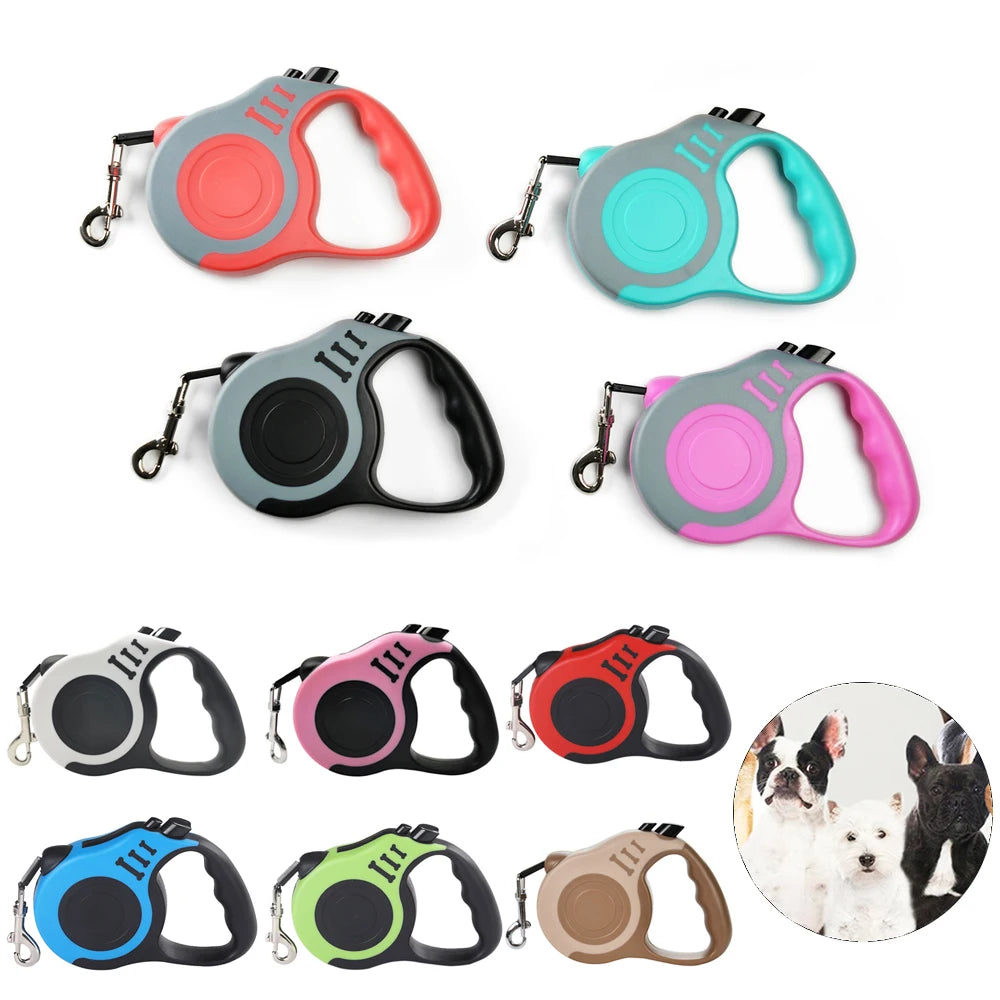 Laisse rétractable automatique pour chien