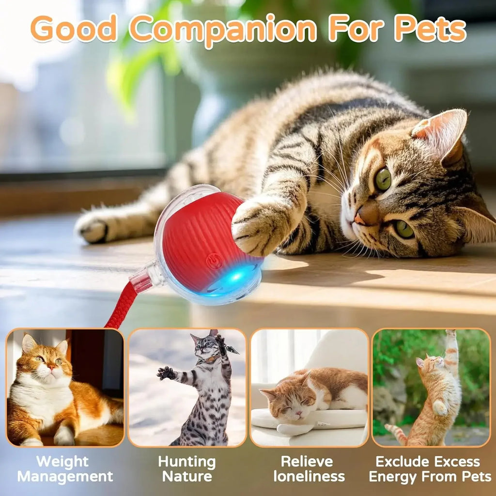 Balle interactive rechargeable pour chat