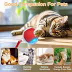 Balle interactive rechargeable pour chat