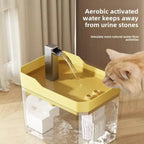 Fontaine à eau filtrante pour chat