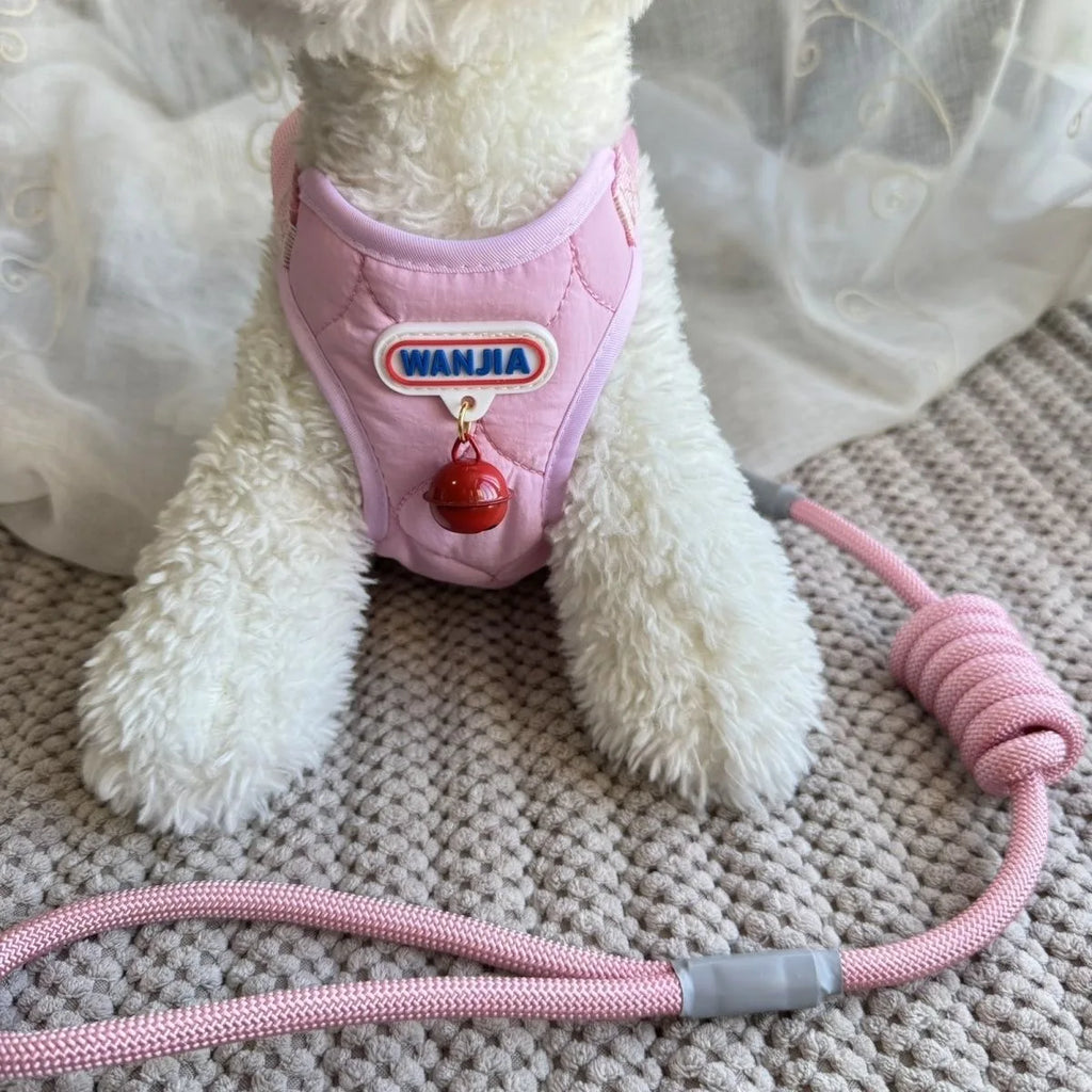Harnais et laisse pour petits animaux – chiens, chats et lapins