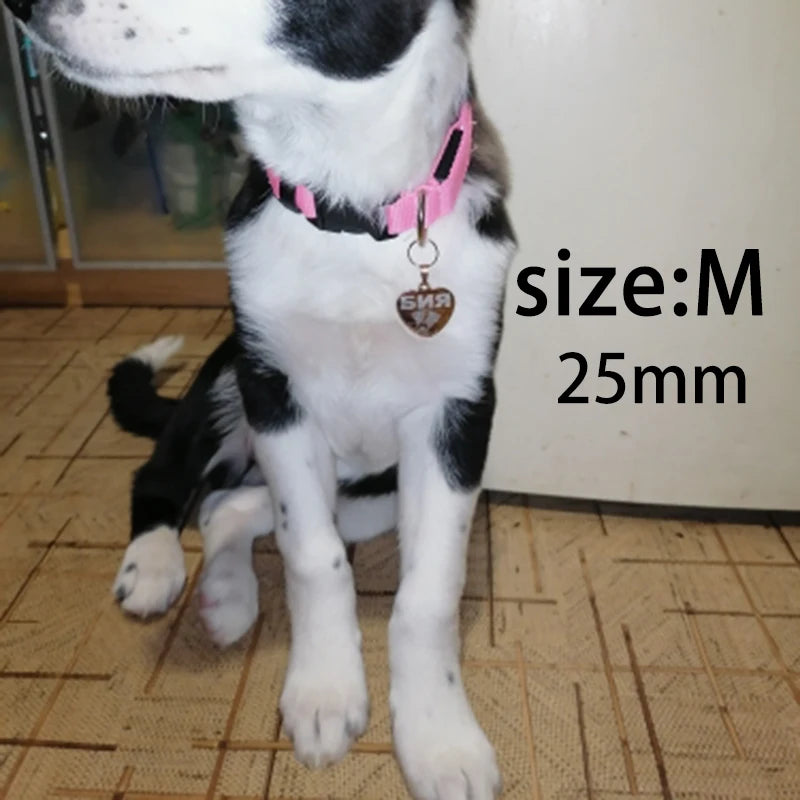 Médaille cœur gravée pour chien
