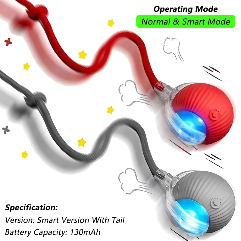 Balle interactive rechargeable pour chat