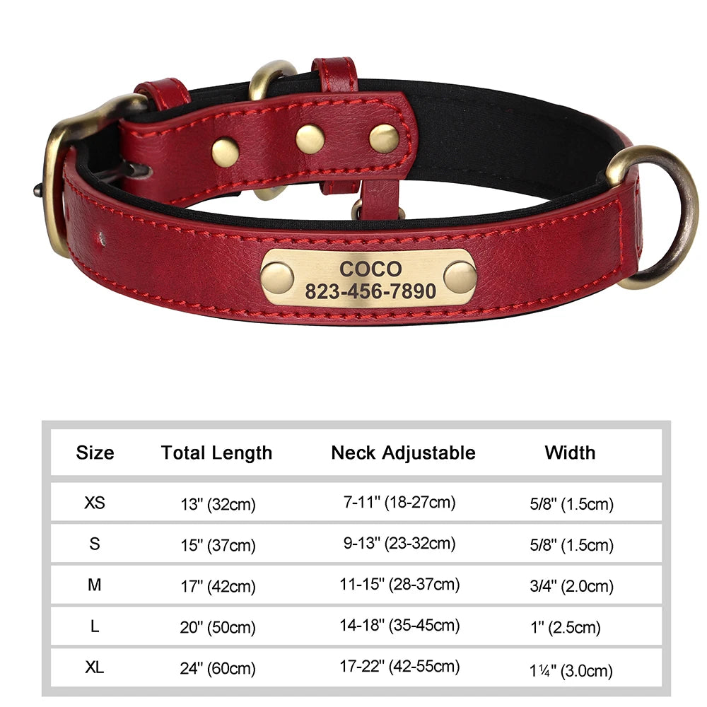 Collier personnalisé doré pour chien