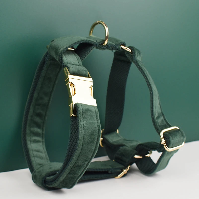 Ensemble collier, harnais et laisse en velours