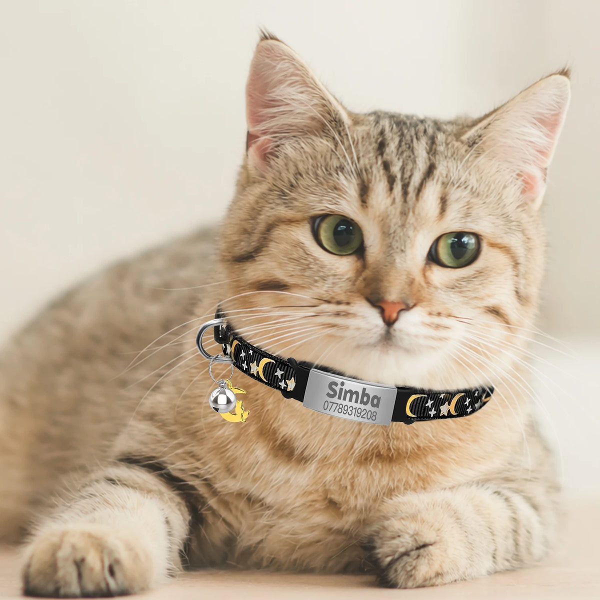 Collier lumineux personnalisé pour chat – plaque anti-fugue