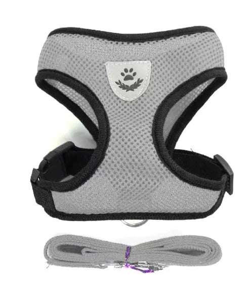 Harnais gilet respirant pour chat