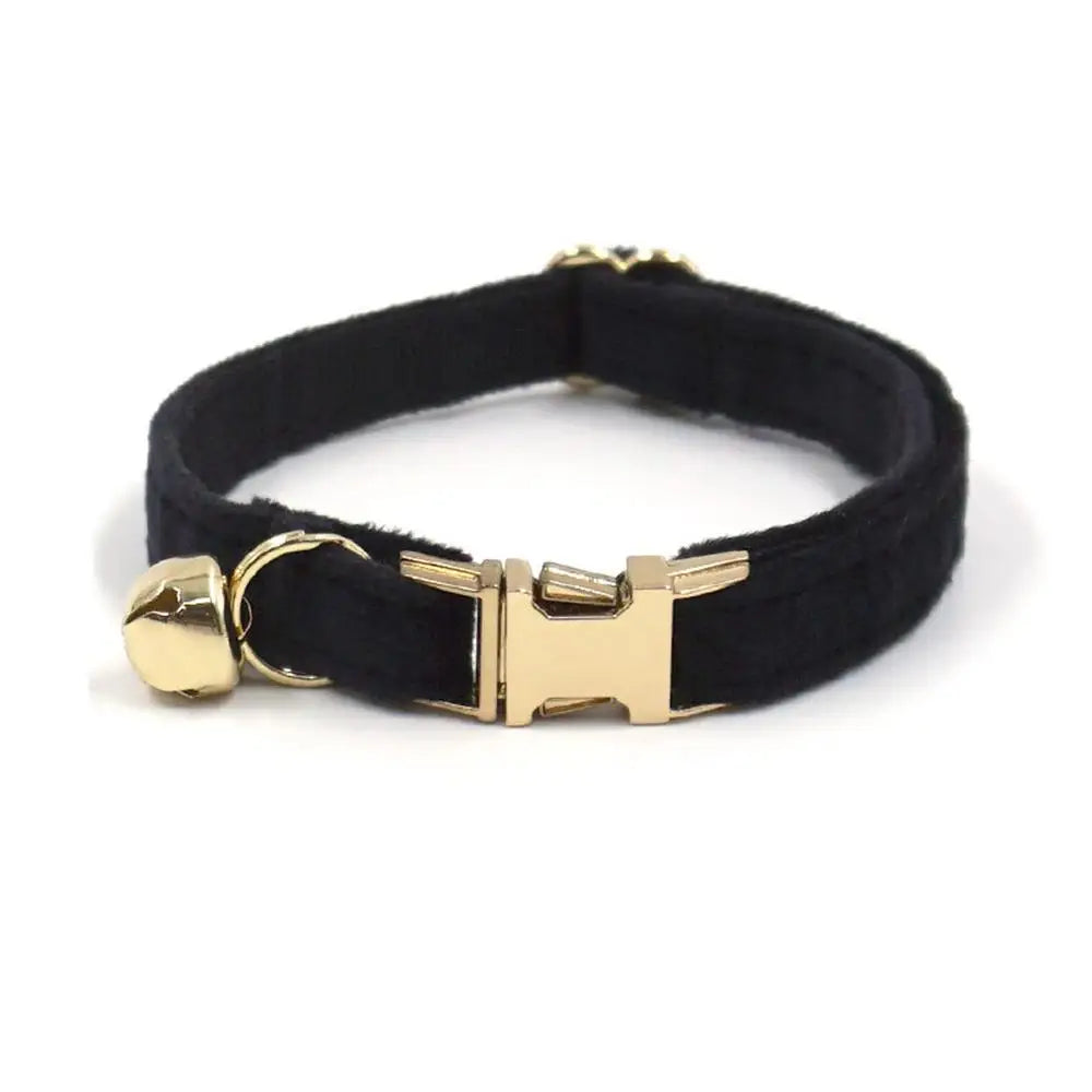 Collier personnalisé pour chat avec clochette