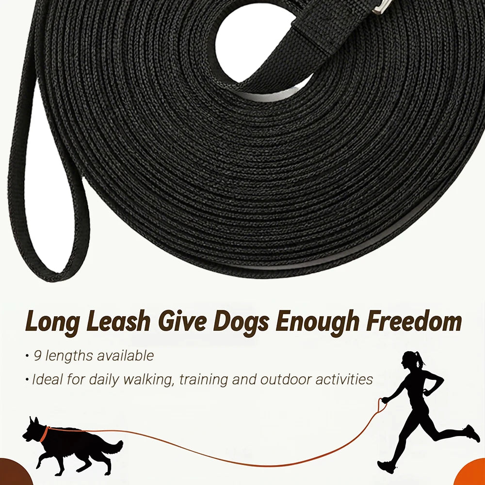 Laisse longue de dressage pour chien