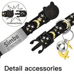 Collier lumineux personnalisé pour chat – plaque anti-fugue