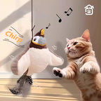 Balle interactive rechargeable pour chat