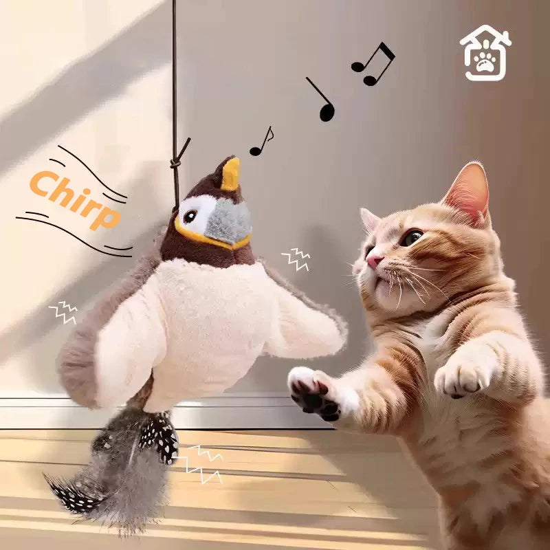 Balle interactive rechargeable pour chat