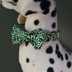 Collier et laisse personnalisés pour chien – nœud gravé