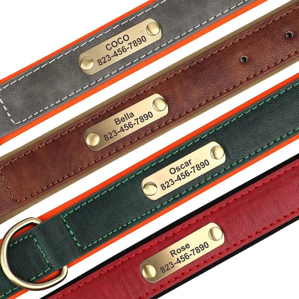 Collier personnalisé doré pour chien