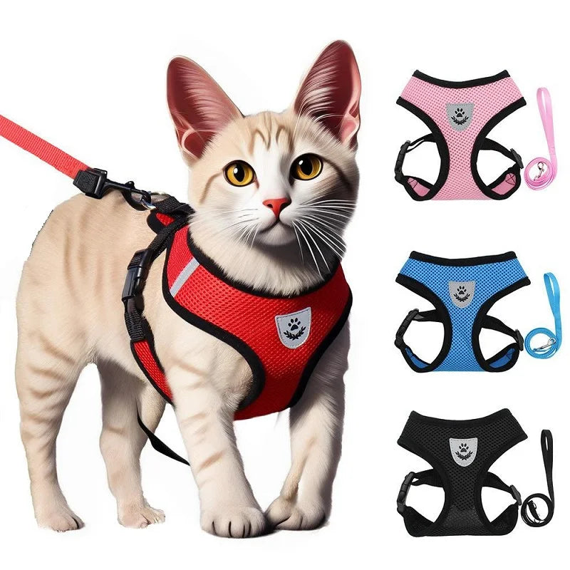 Harnais et laisse anti-fugue pour chaton