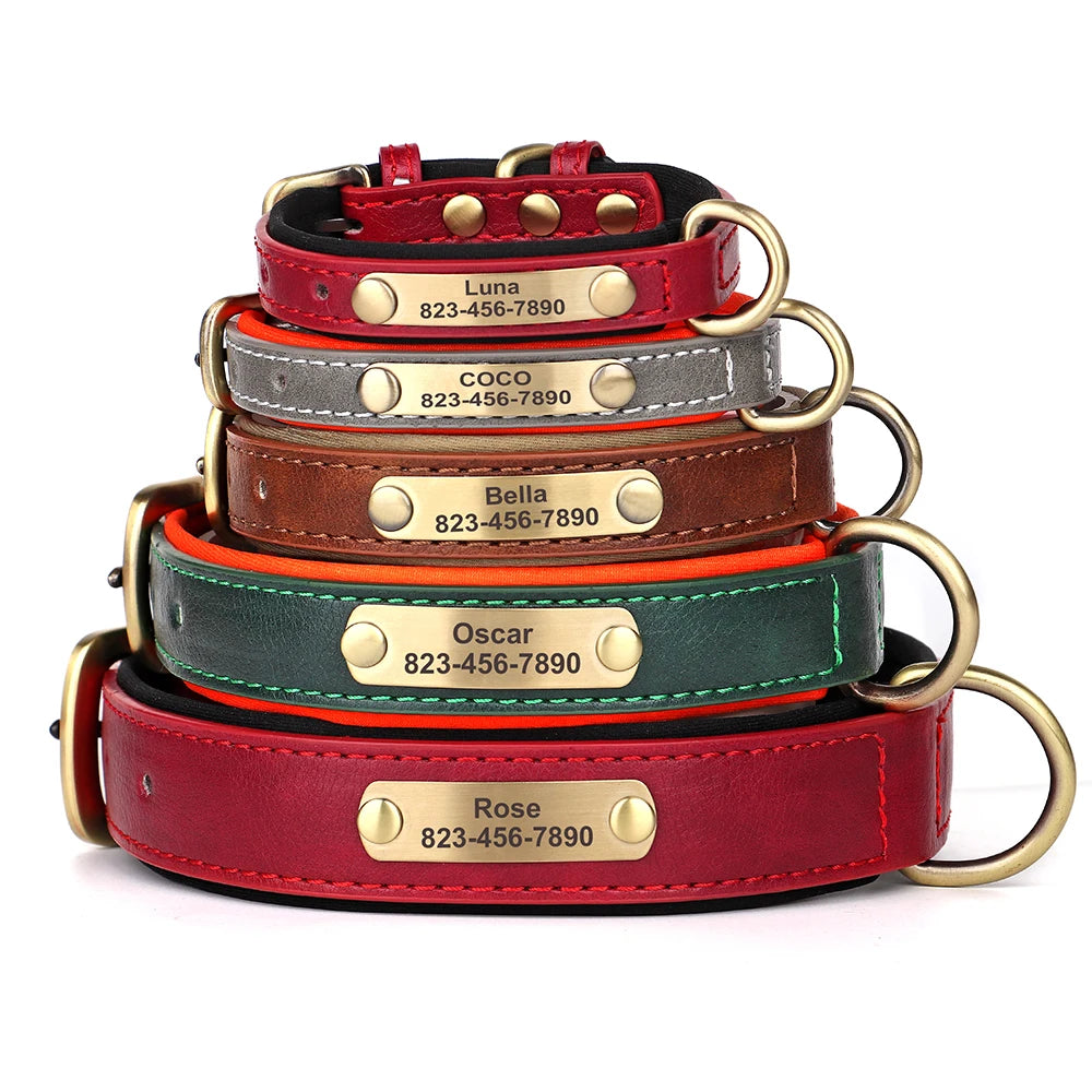 Collier personnalisé doré pour chien
