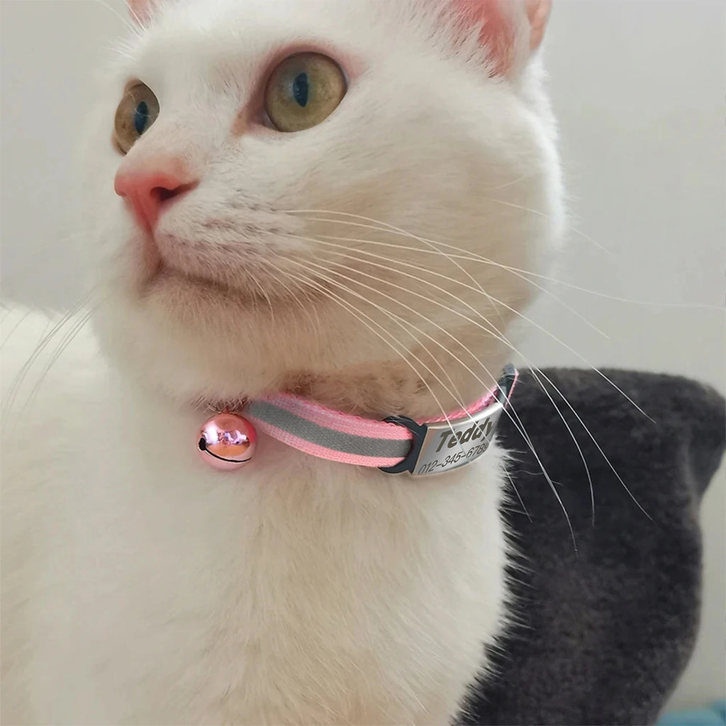 Collier réfléchissant personnalisé pour chat