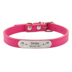 Collier personnalisé pour chien – prénom gravé anti-fugue