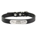 Collier personnalisé pour chien – prénom gravé anti-fugue