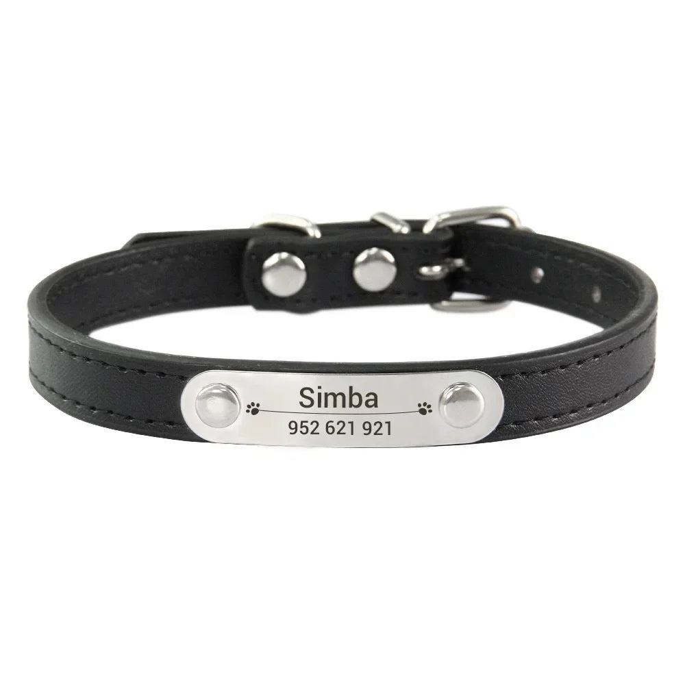Collier personnalisé pour chien – prénom gravé anti-fugue