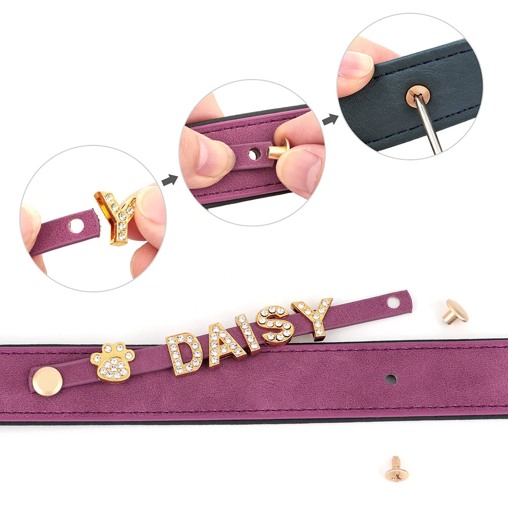 Collier en cuir personnalisé pour chien