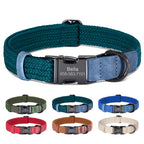 Collier pour chien personnalisé – gravure du prénom