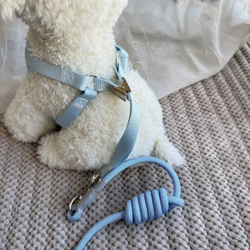 Harnais et laisse pour petits animaux – chiens, chats et lapins