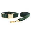 Ensemble collier, harnais et laisse en velours