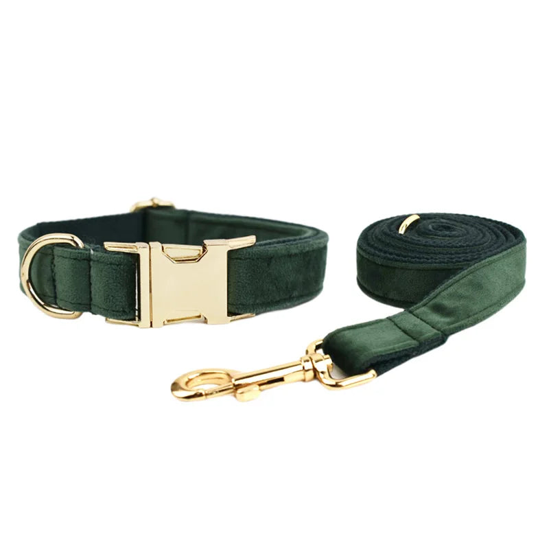 Ensemble collier, harnais et laisse en velours