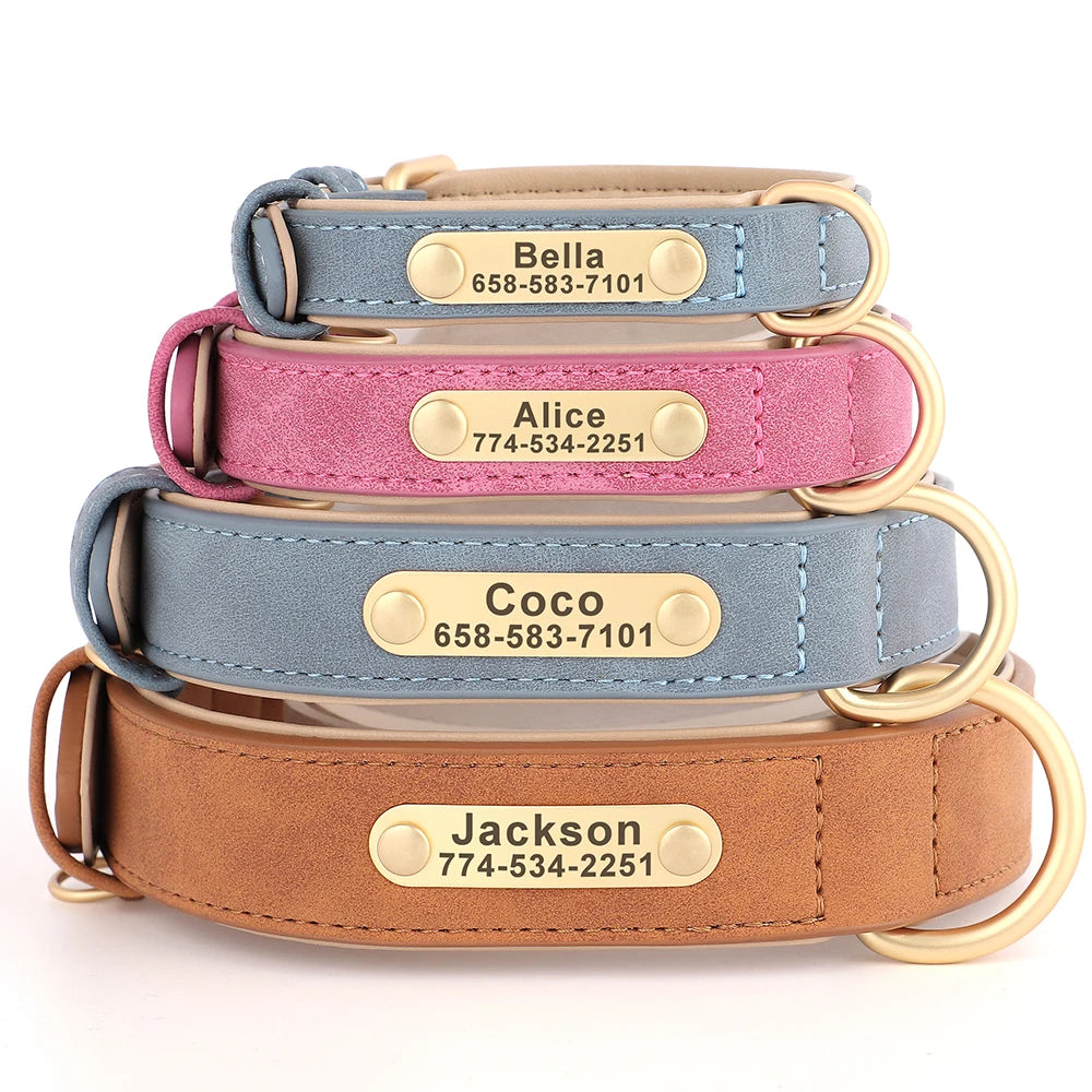 Collier personnalisé doré pour chien