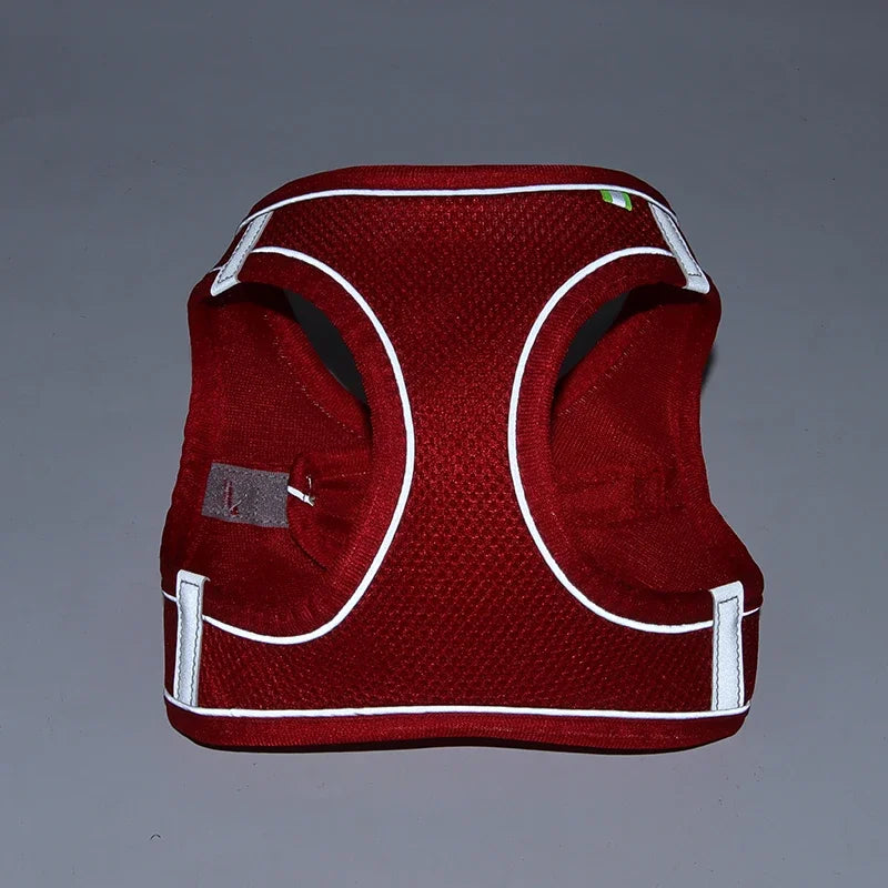 Ensemble harnais pour chiot et petit chien