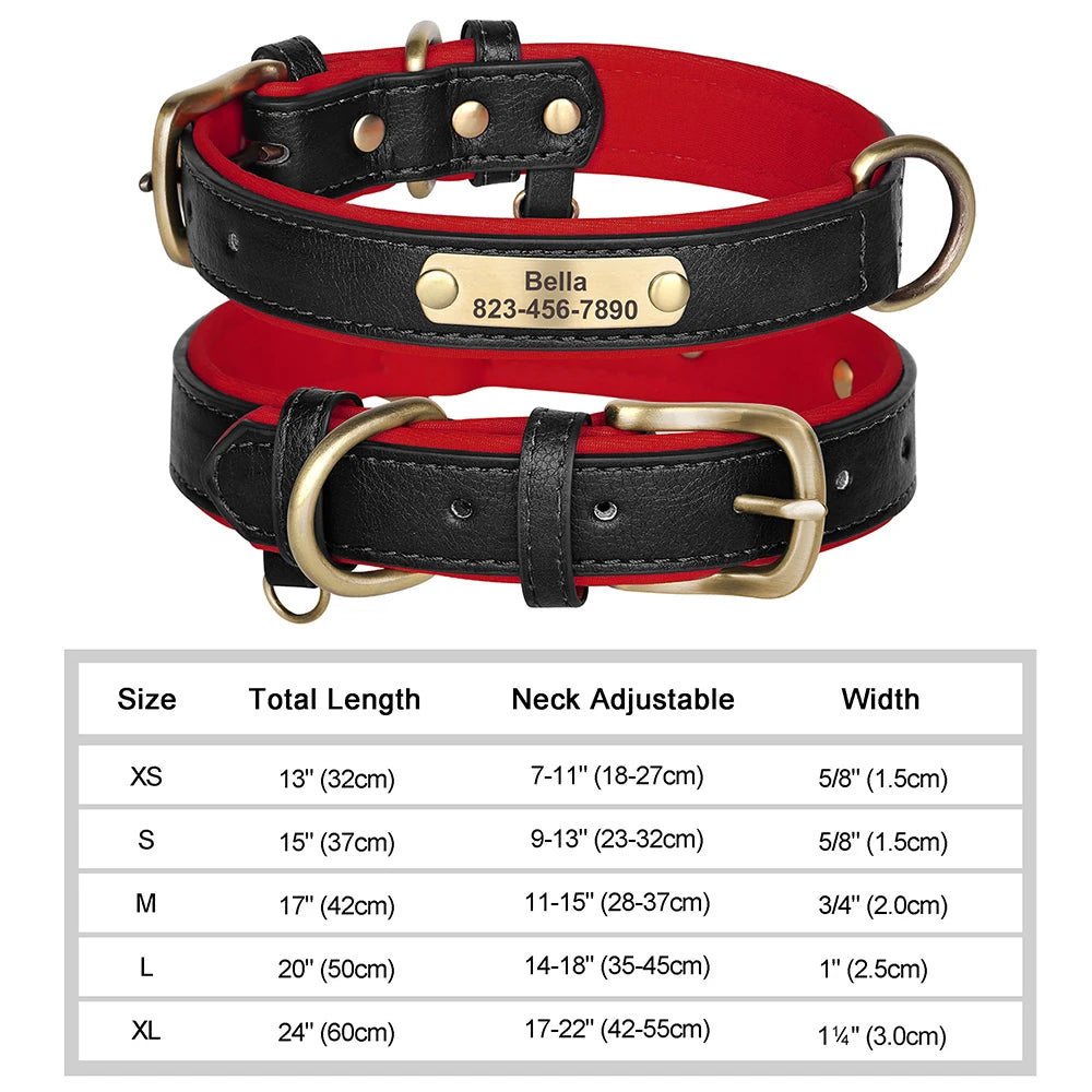 Collier personnalisé doré pour chien