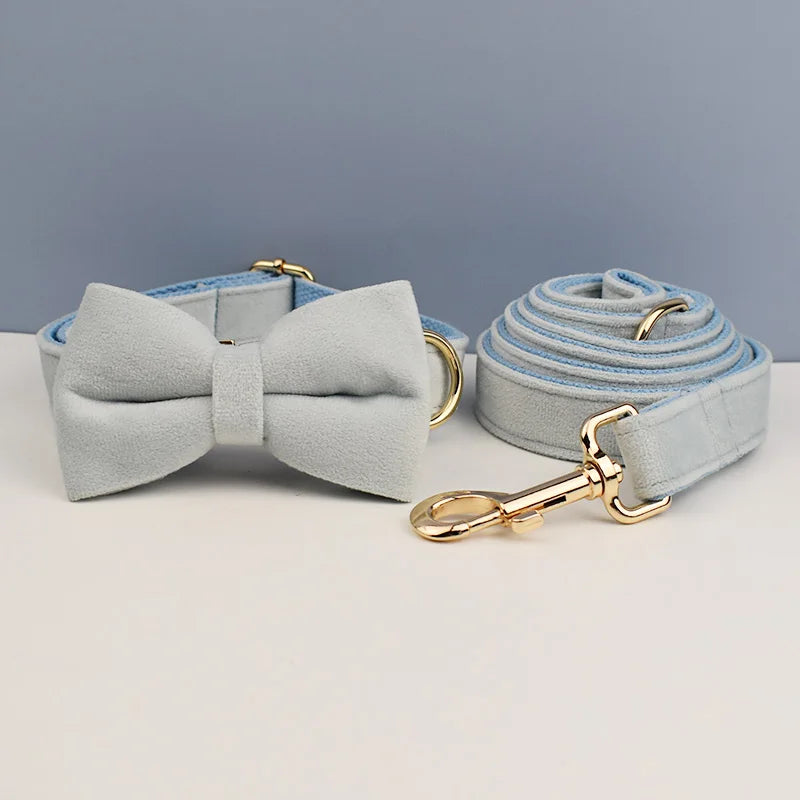 Ensemble collier et laisse en velours bleu clair