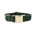 Ensemble collier, harnais et laisse en velours